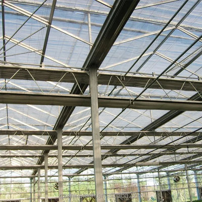 Grande Agricultura Inteligente Holland Estufas de Vidro para Tomates Pepino Alface