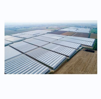 Serras Agrícolas de Dimensão Personalizável Multi-Span Com Tubos de Aço Galvanizado a Quente
