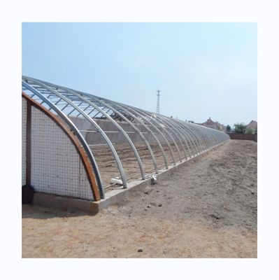Estufas Solares Passivas do Mercado Canadense Estufas Quentes para Agricultura Comercial