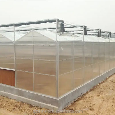 Tomate Grow Agricultura Estufas Fabricantes em estilo Venlo com capa de folha de PC