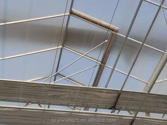 4m Largura da baía Multi-Span Estufas de Estufas Agrícolas Material de cobertura Super Resistência Forte