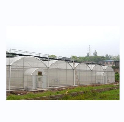 Super resistência forte Agricultura Quadro de estufa multispans para o cultivo de vegetais