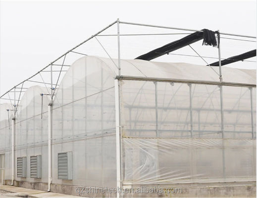 Super resistência forte Agricultura Quadro de estufa multispans para o cultivo de vegetais