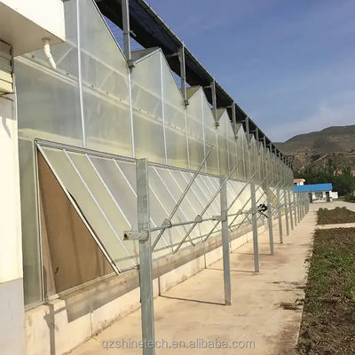 4m Largura da baía Multi-Span Estufas de Estufas Agrícolas Material de cobertura Super Resistência Forte