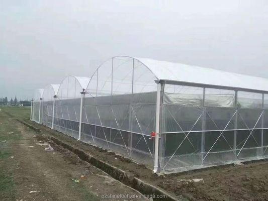 Super resistência forte Agricultura Quadro de estufa multispans para o cultivo de vegetais