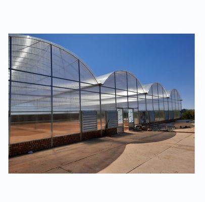 Frigorífico Comercial Multi Span Agrícola Inteligente Venlo PC 4.0-8.0M Altura
