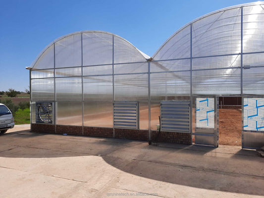 Frigorífico Comercial Multi Span Agrícola Inteligente Venlo PC 4.0-8.0M Altura