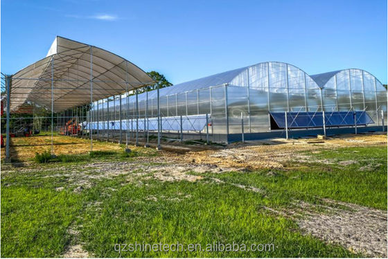 Frigorífico Comercial Multi Span Agrícola Inteligente Venlo PC 4.0-8.0M Altura