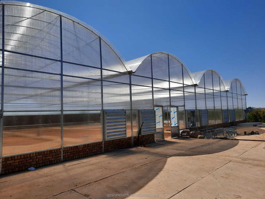 Frigorífico Comercial Multi Span Agrícola Inteligente Venlo PC 4.0-8.0M Altura