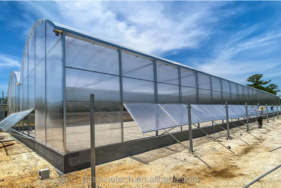 Frigorífico Comercial Multi Span Agrícola Inteligente Venlo PC 4.0-8.0M Altura