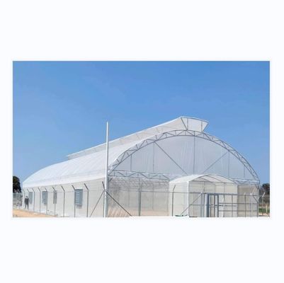 Desenho Shine Tech Túnel de travagem única Estufas agrícolas