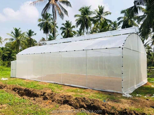 Desenho Shine Tech Túnel de travagem única Estufas agrícolas