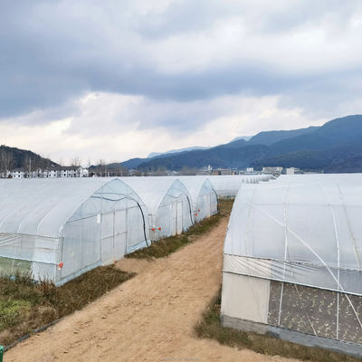 Desenho Shine Tech Túnel de travagem única Estufas agrícolas