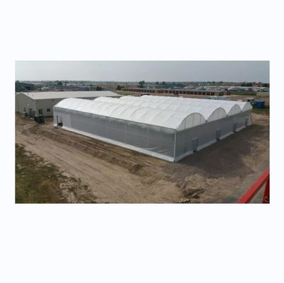 8m de largura de espessura multi-espessura de tomate comercial agrícola