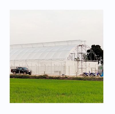 200 microns Proteção UV PE Film Estufa de túnel único Para o crescimento de tomate e pepino