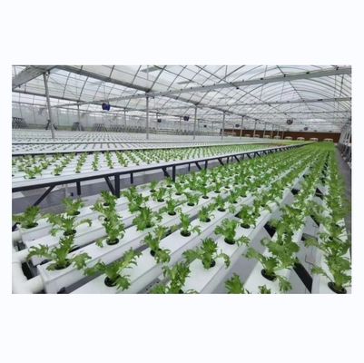 Canal NFT de PVC de tipo horizontal para cultivo de vegetais folhosos hidropônicos de tamanho personalizado
