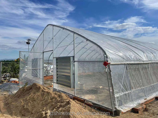 200 microns Proteção UV PE Film Estufa de túnel único Para o crescimento de tomate e pepino