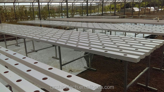 Canal NFT de PVC de tipo horizontal para cultivo de vegetais folhosos hidropônicos de tamanho personalizado