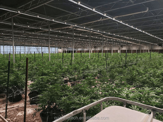 Sistema de privação de luz totalmente automatizado para agricultura