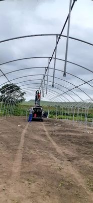 Estufas monoespessas de estrutura simples de película de túnel poliestufas para agricultura