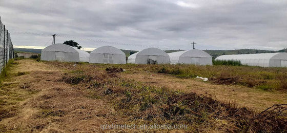 Estufas monoespessas de estrutura simples de película de túnel poliestufas para agricultura