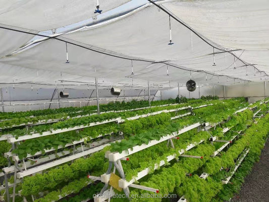 Vídeo Inspeção de saída Estufas hidropónicas para a produção de vegetais de folhas verdes