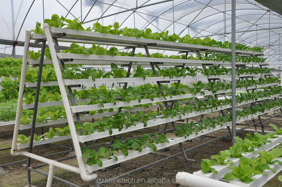 Vídeo Inspeção de saída Estufas hidropónicas para a produção de vegetais de folhas verdes
