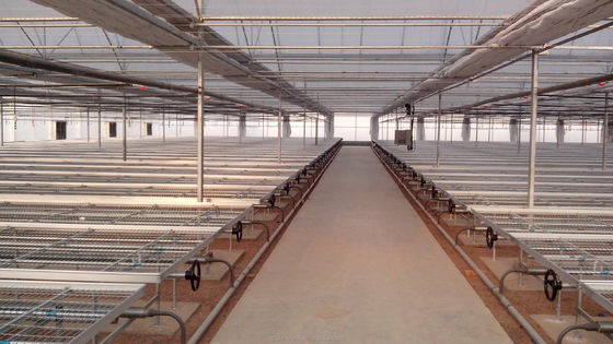 8m-12m Largura de Espaço Estufa de apagão totalmente automatizada para agricultura superior