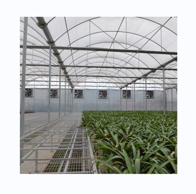 Frigorífico de película poliesférica multi-espans para agricultura Sistema de refrigeração e irrigação opcional