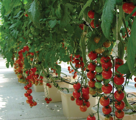 30*25*23cm sistema de cultivo hidropônico completo de balde holandês para tomate pepino de pepino