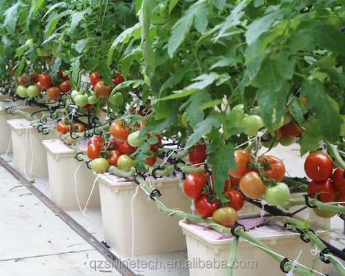 30*25*23cm sistema de cultivo hidropônico completo de balde holandês para tomate pepino de pepino