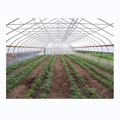 Agropecuária Pequeno túnel agrícola Estufa com estrutura de aço galvanizado