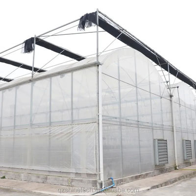 Estufa de túnel poliesférico de 8 m de largura para o cultivo de tomate de alto rendimento