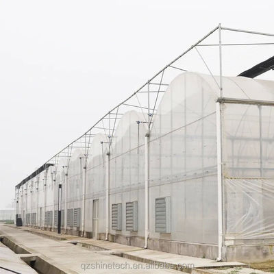 Galvanizado Estrutura de aço cinza de película de camada única Para a agricultura comercial em grande escala