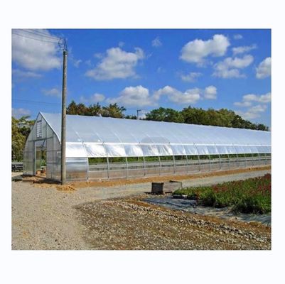 Quente Mergulho Galvanizado Tubos de Aço Quadro Single Span Serra Agrícola Para crescer tenda