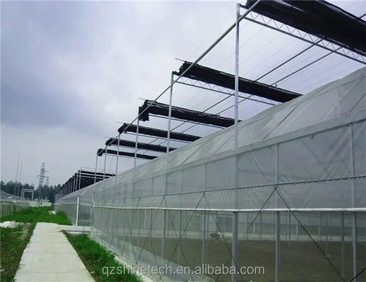 Galvanizado Estrutura de aço cinza de película de camada única Para a agricultura comercial em grande escala