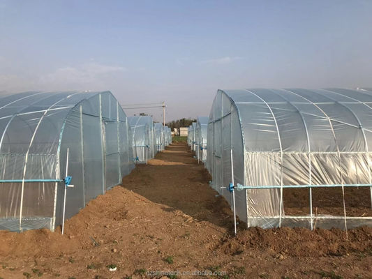Quente Mergulho Galvanizado Tubos de Aço Quadro Single Span Serra Agrícola Para crescer tenda