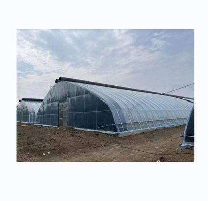 PE Túnel solar de camada única Estufas agrícolas 4-6M Altura