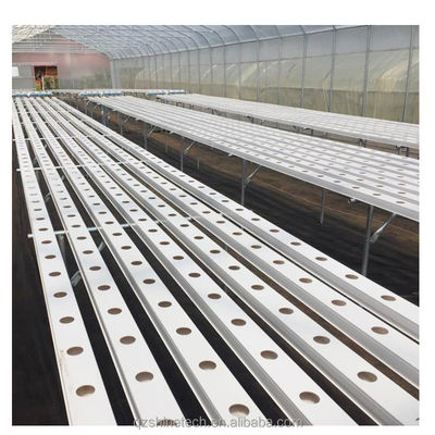 Providenciada inspeção de vídeo 100 * 50mm PVC Planting Gully para hidroponia NFT personalizada