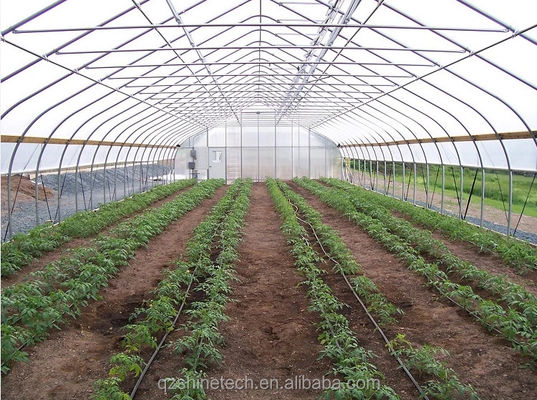 Quente Mergulho Galvanizado Tubos de Aço Quadro Single Span Serra Agrícola Para crescer tenda