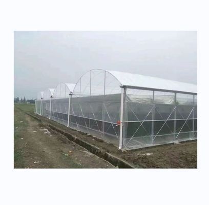 Estufas de plástico de película de 150/200 micrões para o cultivo de vegetais e flores