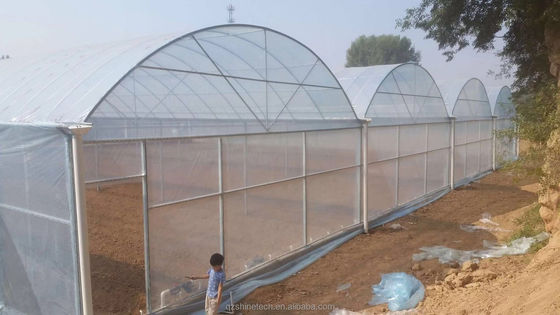 Estufas de plástico de película de 150/200 micrões para o cultivo de vegetais e flores
