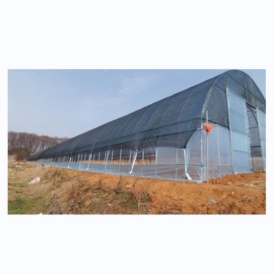 Estufas agrícolas de uma única estirada Estufas de filmes de rede de sombreamento Para plantação de tomate