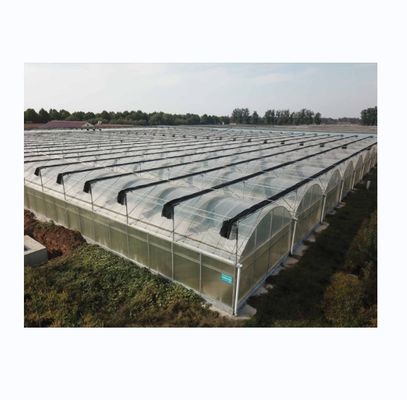 Estufa comercial de película multi-espansão com sistema de sombra solar externo e largura de baía de 4 m