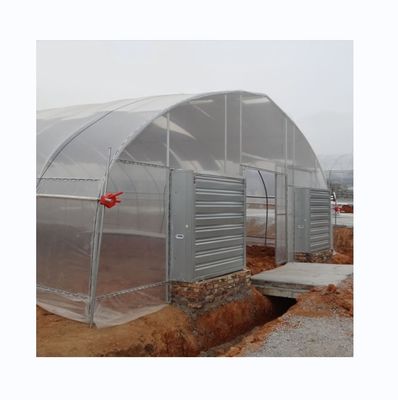 Sistema de refrigeração Estufas agrícolas simples para a agricultura de tomate