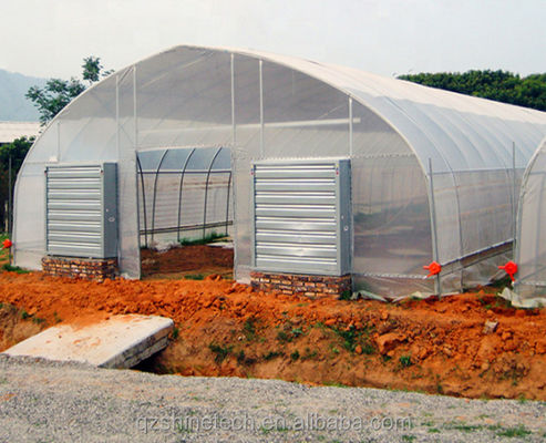 Sistema de refrigeração Estufas agrícolas simples para a agricultura de tomate