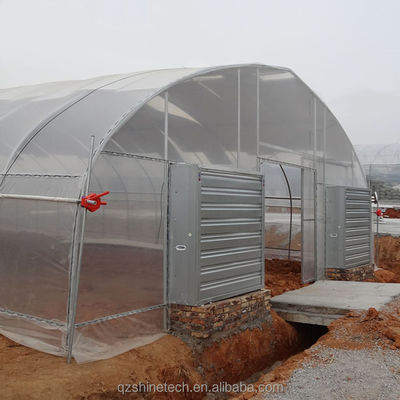 Sistema de refrigeração Estufas agrícolas simples para a agricultura de tomate