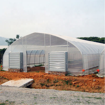Sistema de refrigeração Estufas agrícolas simples para a agricultura de tomate