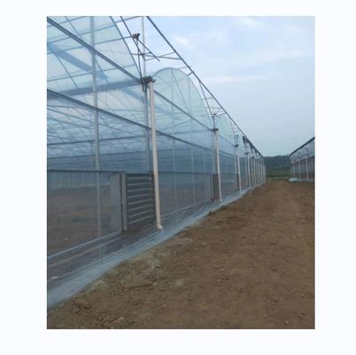 Shine Tech Multi Span Estufa de Película Plástica para o Cultivo de Tomate e Morango