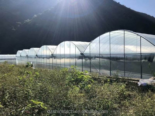 Shine Tech Multi Span Estufa de Película Plástica para o Cultivo de Tomate e Morango